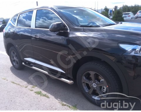 HAVAL F7X с 2019-н.в. боковые подножки Delux d76 из нержавеющей стали